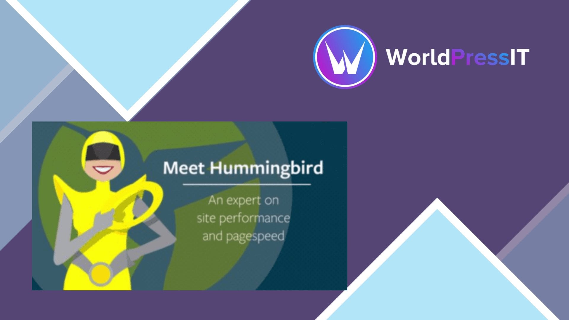 Hummingbird Pro practical review Hummingbird Pro review and WordPress workflow illustration