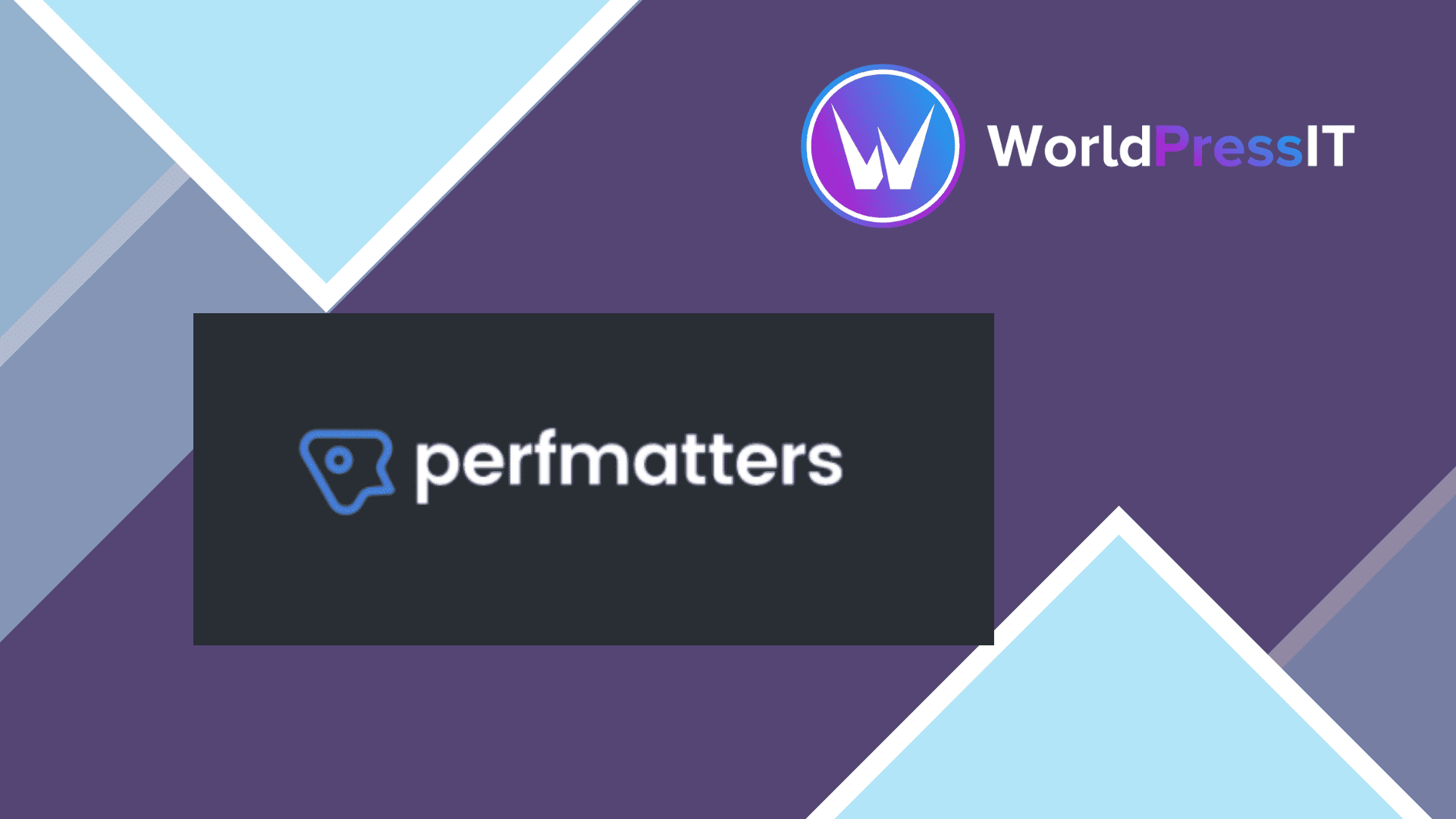 Perfmatters practical review Perfmatters review and WordPress workflow illustration