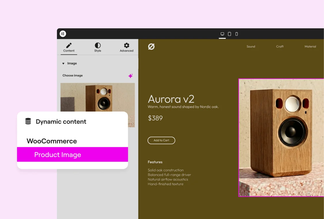 Elementor Pro dynamic content tags connected to custom fields